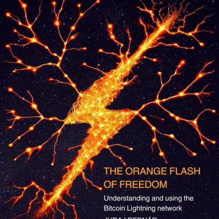 The Orange Flash of Freedom: Understanding and using the Bitcoin Lightning network